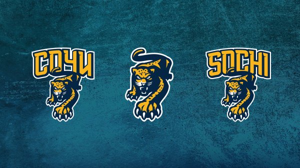 Хоккейный клуб хк Сочи эмблема