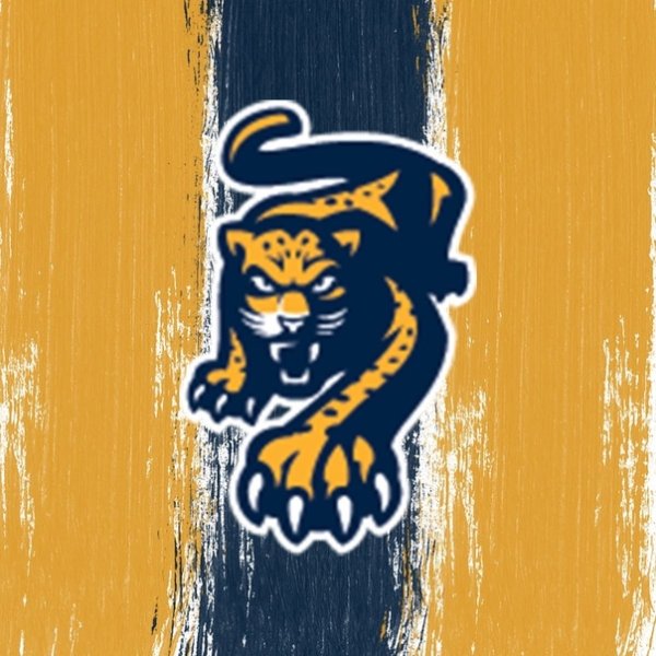 Эмблема хоккейного клуба Сочи