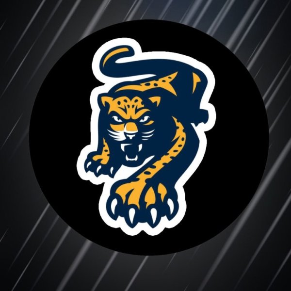 Хоккейный клуб хк Сочи лого