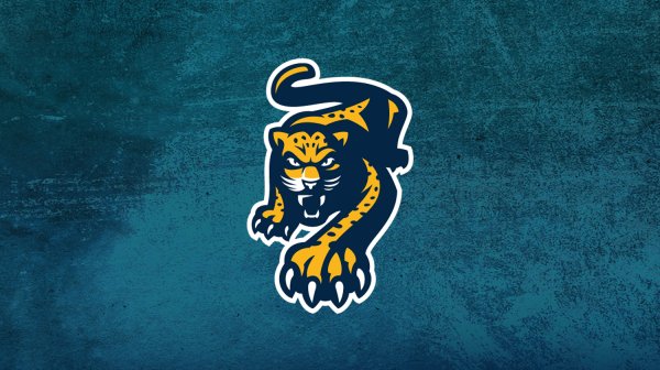 Хк Сочи логотип на прозрачном фоне