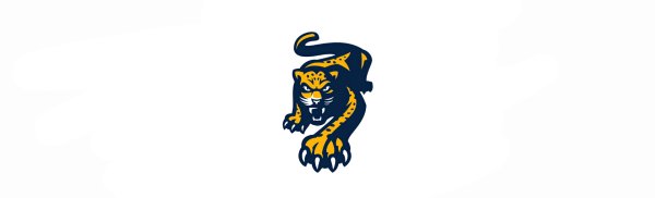 Хоккейный клуб хк Сочи эмблема