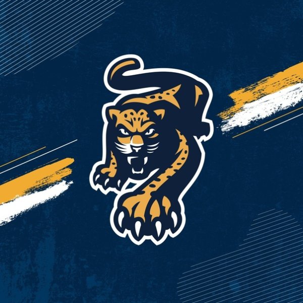 Тамбов (хоккейный клуб)