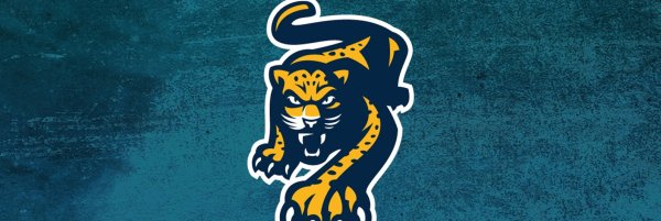 Хоккейный клуб с леопардом