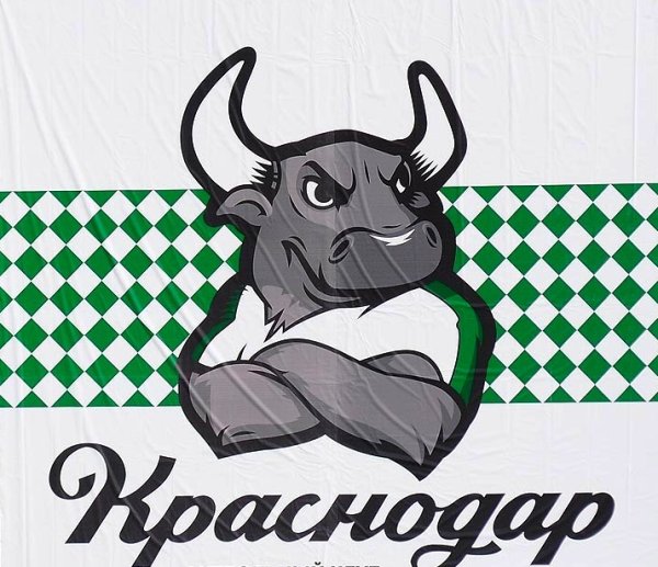 ФК Краснодар бык логотип