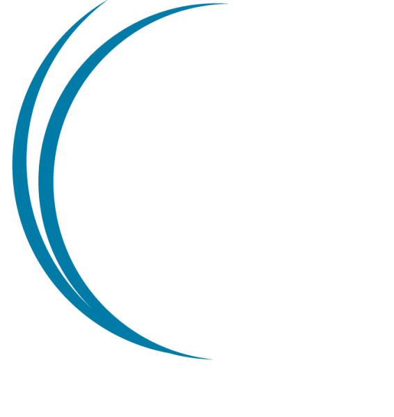 Векторные линии для логотипа