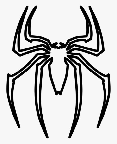 Паук рисунок