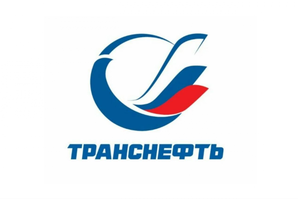 Транснефть Север логотип