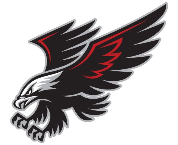 Эмблемы орла красивые