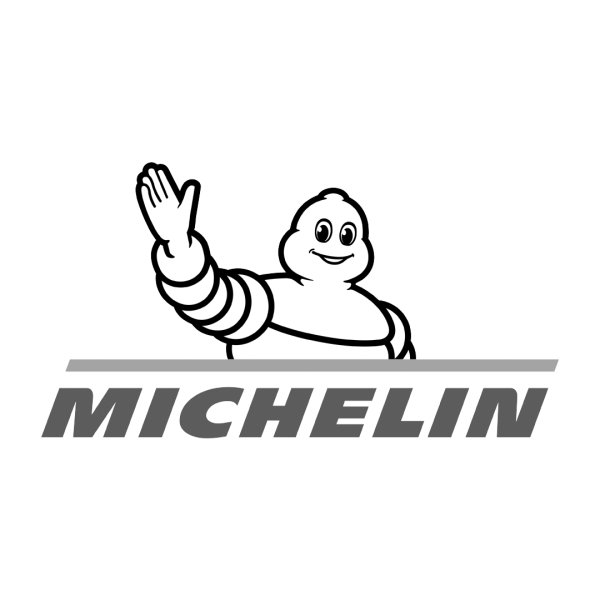 Michelin шины лого