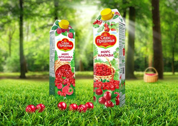 Сок сады Придонья 2 литра