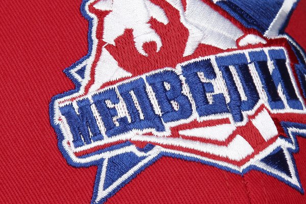 Хоккейная кофта Молодежка медведи