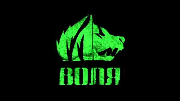 Флаг свободы сталкер