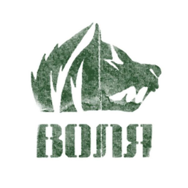 Эмблема свободы из сталкера