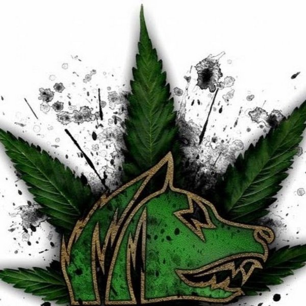 Гимн свободы сталкер