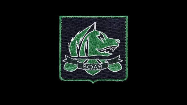 Нашивка свободы сталкер