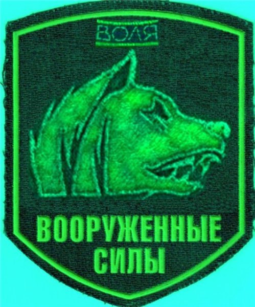 Шеврон свободы сталкер