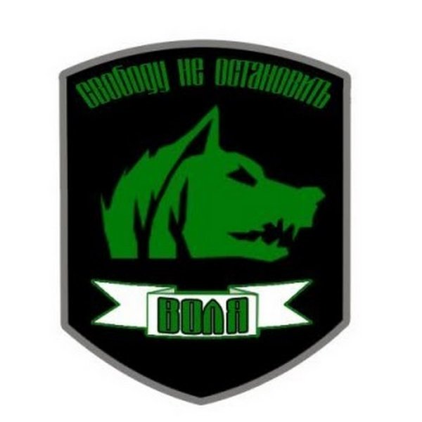 Шеврон свободы сталкер