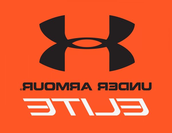 Under Armour значок