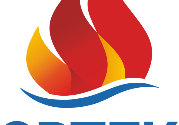 МДЦ Артек эмблема