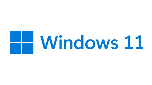 Windows 11