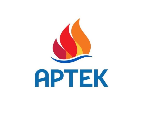 Речной лагерь Артек эмблема