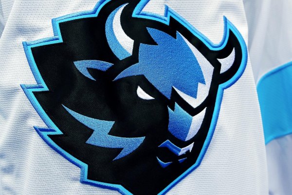 Динамо Минск хоккейный клуб логотип