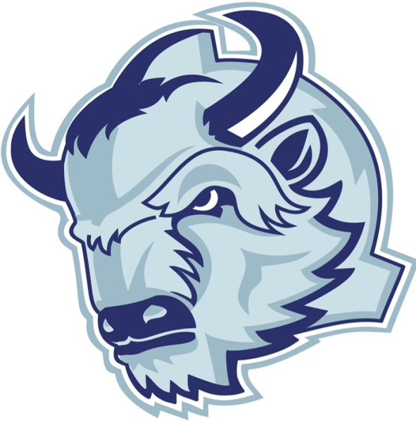 Эмблема хоккейного клуба Динамо Минск