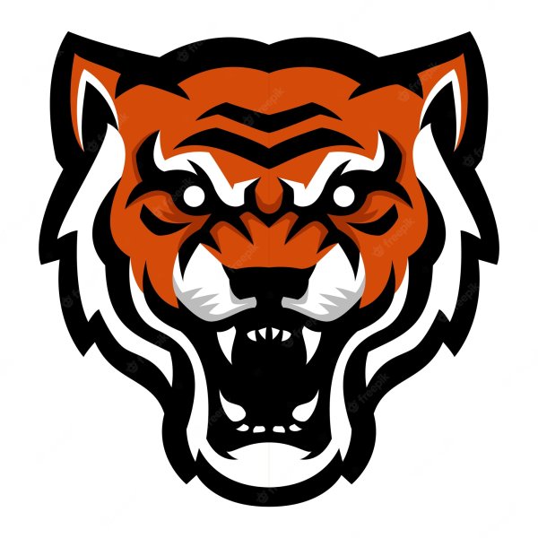 Логотип команды звери