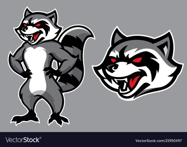 Енот логотип