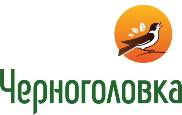 Напитки из Черноголовки логотип