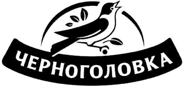 Меркатус Нова Компани