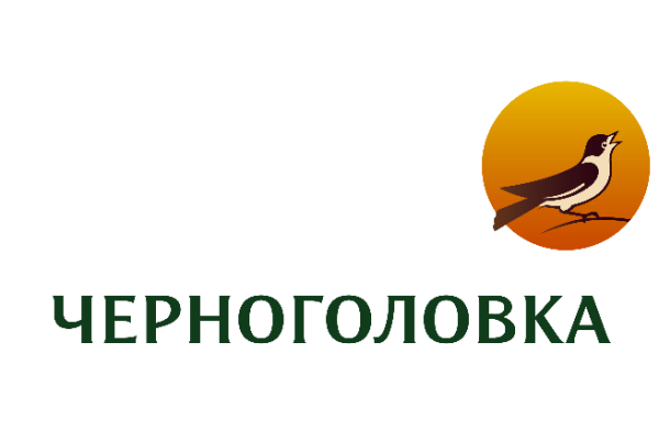 Напитки из Черноголовки лого