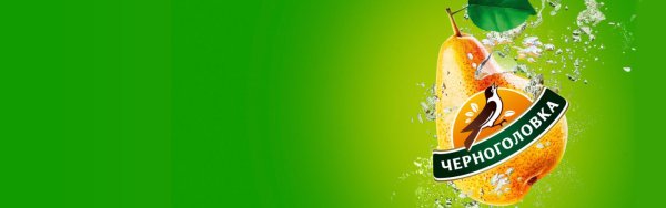 Герб Черноголовки Московской области