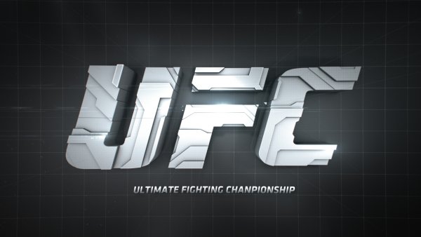 UFC бой logo
