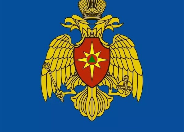 МЧС России официальный сайт эмблема