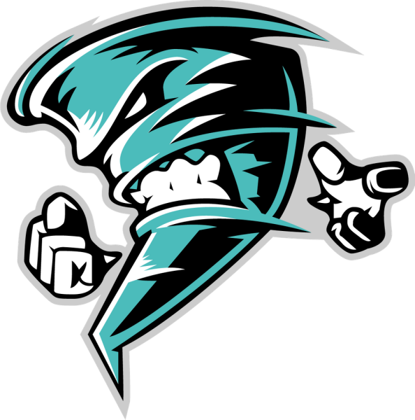 Логотипы команд