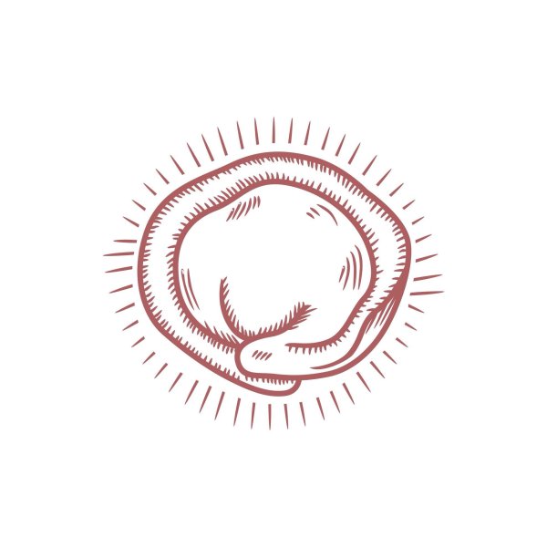 Пельмень эскиз