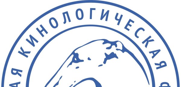 Эмблема РКФ на прозрачном фоне