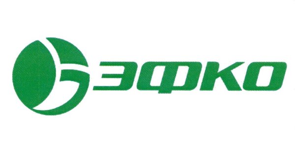 ЭФКО логотип