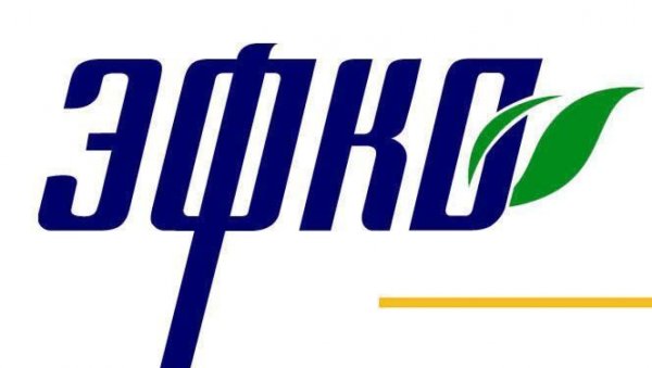 Логотип компании ЭФКО