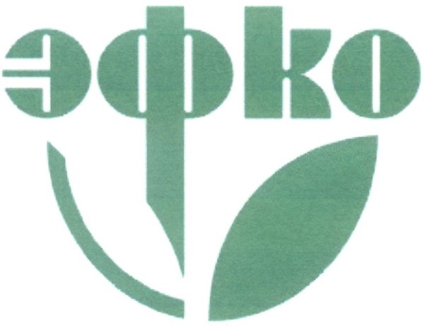 ЭФКО логотип прозрачный