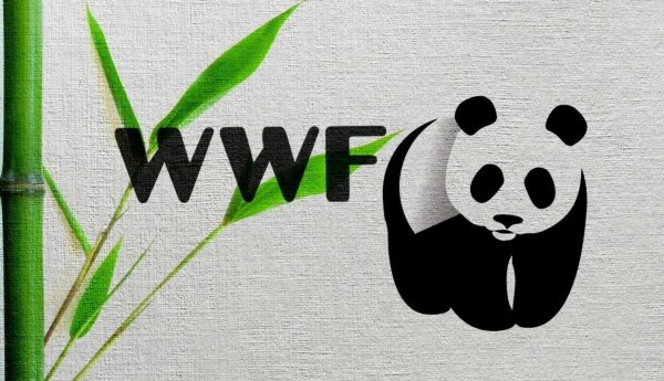 Всемирный фонд дикой природы WWF
