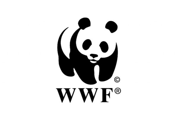 Всемирный фонд охраны дикой природы