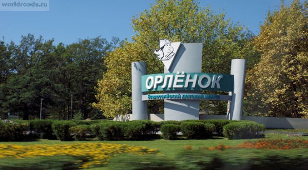 Логотип Орленок 60