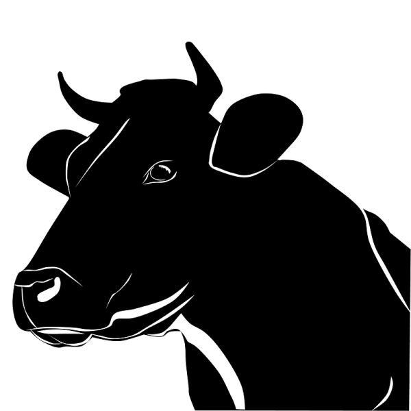 Очертания коровы