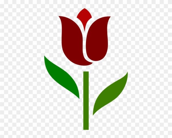 Тюльпан vector