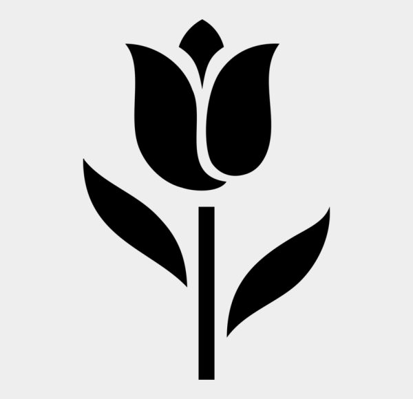 Тюльпан Лале татарский орнамент