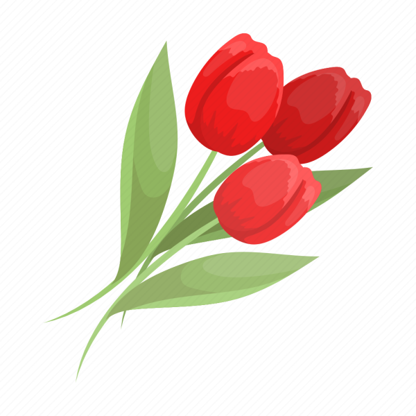 Тюльпаны в круге