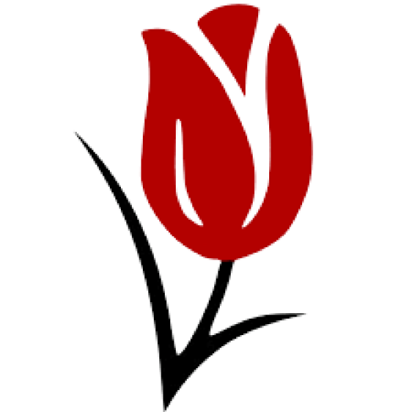 Тюльпан символ