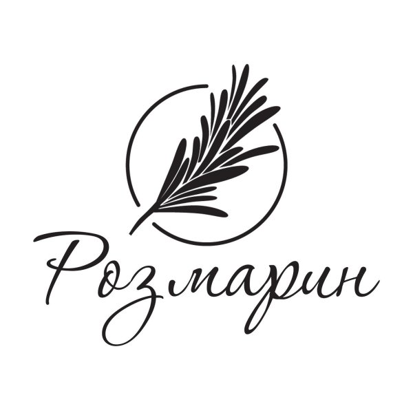 Ветка розмарина на прозрачном фоне